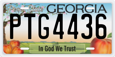 GA license plate PTG4436