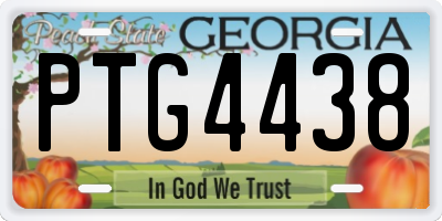 GA license plate PTG4438