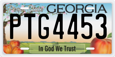 GA license plate PTG4453