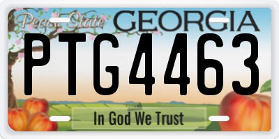 GA license plate PTG4463
