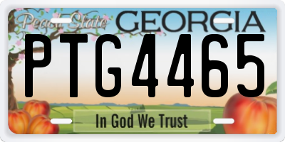 GA license plate PTG4465