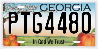 GA license plate PTG4480