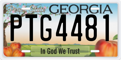 GA license plate PTG4481