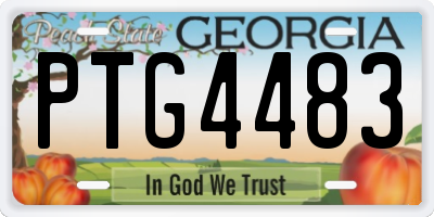 GA license plate PTG4483