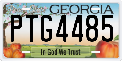 GA license plate PTG4485