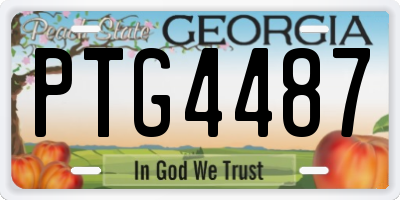 GA license plate PTG4487