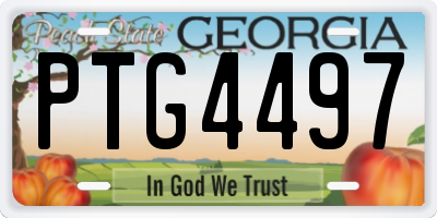 GA license plate PTG4497