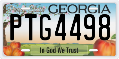GA license plate PTG4498