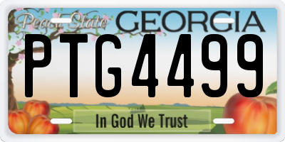 GA license plate PTG4499