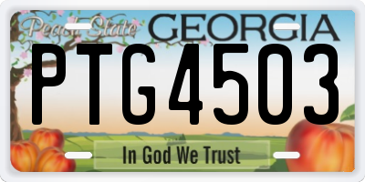 GA license plate PTG4503