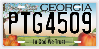 GA license plate PTG4509