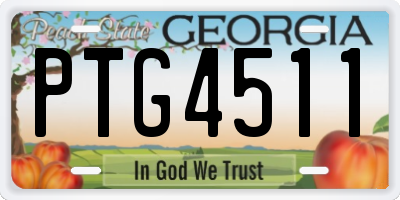 GA license plate PTG4511