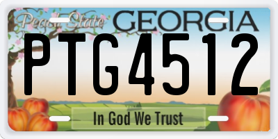 GA license plate PTG4512