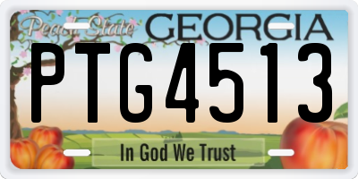 GA license plate PTG4513
