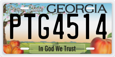 GA license plate PTG4514