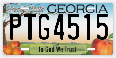 GA license plate PTG4515