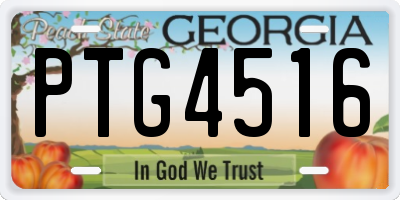 GA license plate PTG4516