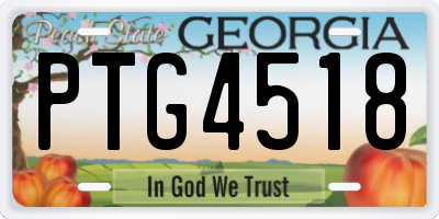 GA license plate PTG4518