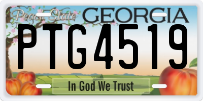GA license plate PTG4519