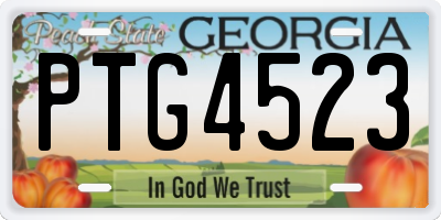 GA license plate PTG4523
