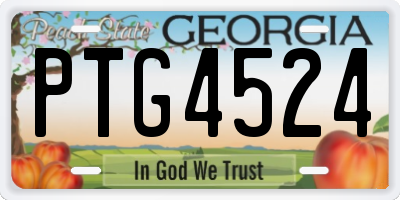 GA license plate PTG4524