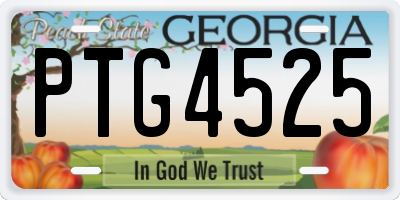 GA license plate PTG4525