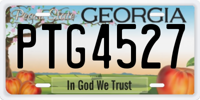 GA license plate PTG4527
