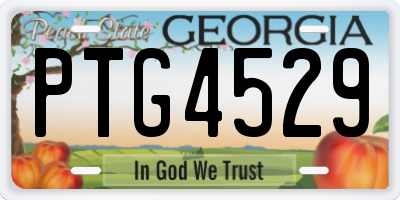 GA license plate PTG4529