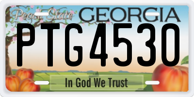 GA license plate PTG4530