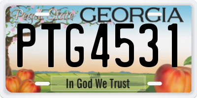 GA license plate PTG4531