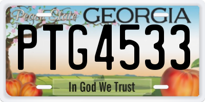 GA license plate PTG4533