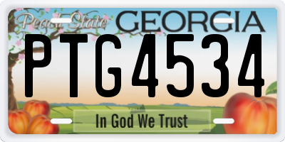 GA license plate PTG4534