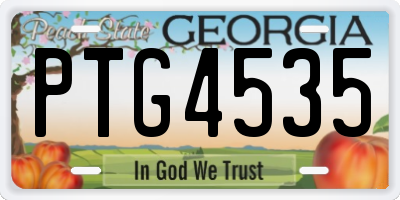GA license plate PTG4535