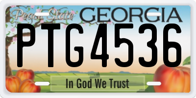 GA license plate PTG4536