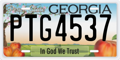 GA license plate PTG4537