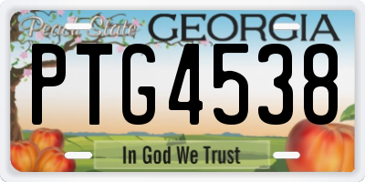GA license plate PTG4538