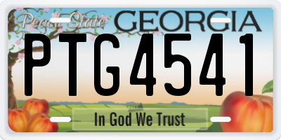 GA license plate PTG4541