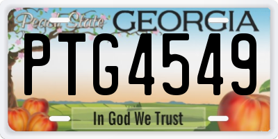 GA license plate PTG4549