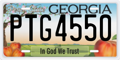 GA license plate PTG4550