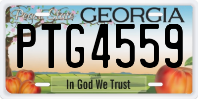 GA license plate PTG4559