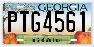 GA license plate PTG4561