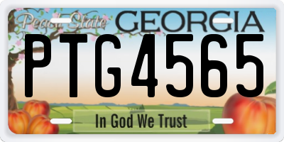 GA license plate PTG4565