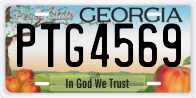 GA license plate PTG4569