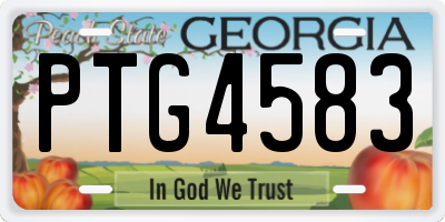 GA license plate PTG4583