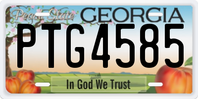 GA license plate PTG4585