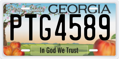 GA license plate PTG4589
