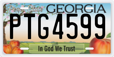 GA license plate PTG4599