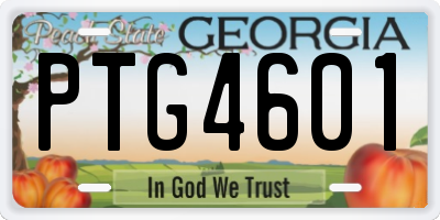 GA license plate PTG4601