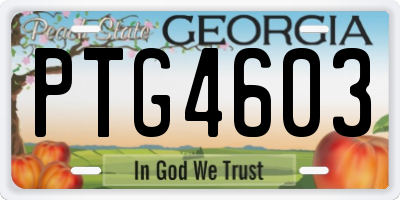 GA license plate PTG4603