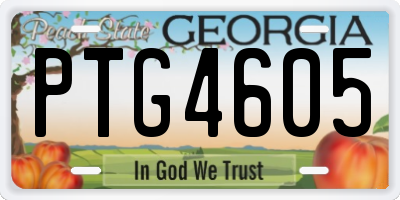 GA license plate PTG4605
